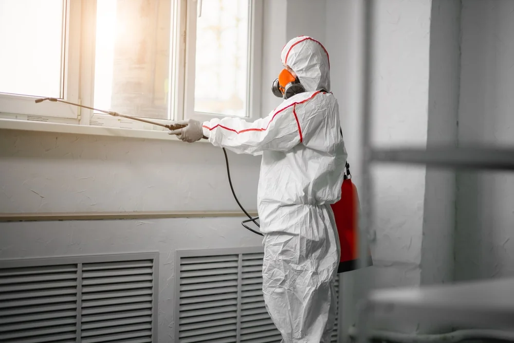 Professional mold remediation services in North Windham, CT